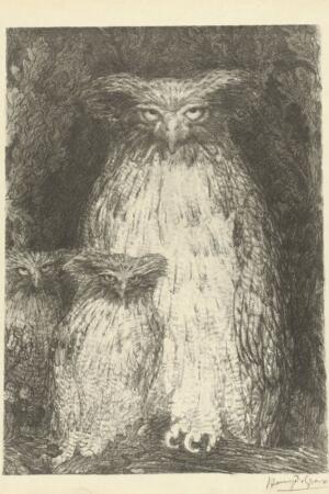 Estudio de Tres Búhos (Étude de trois chouettes) | Henri De Groux