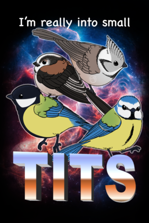 Me atraen los pajaritos